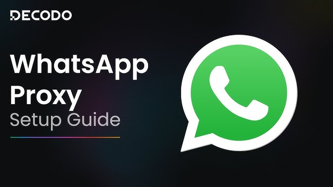 The most popular WhatsApp contact filter